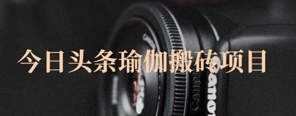 猎人社区·今日头条瑜伽搬砖项目，单号一天几十收入，可以批量操作！-云阁资源网
