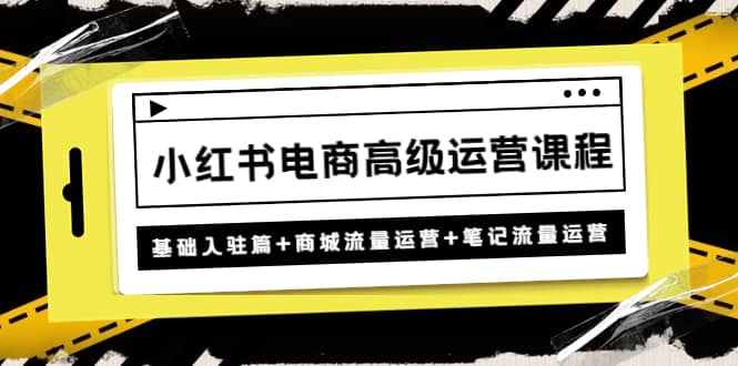 小红书电商高级运营课程：基础入驻篇+商城流量运营+笔记流量运营-云阁资源网