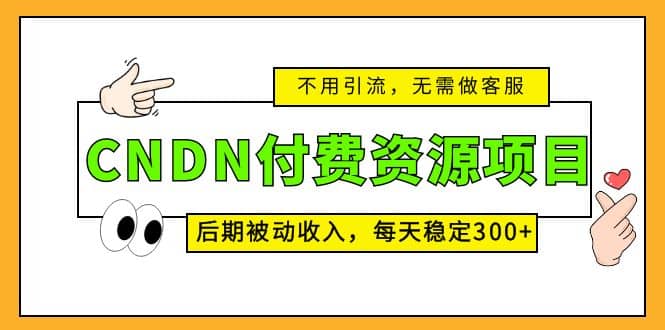 CNDN付费资源项目，不用引流，无需做客服，后期被动收入-云阁资源网