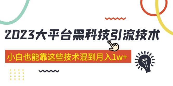 价值4899的2023大平台黑科技引流技术 29节课-云阁资源网