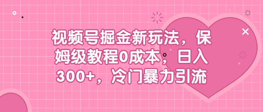 视频号掘金新玩法，保姆级教程0成本，日入300+，冷门暴力引流-云阁资源网