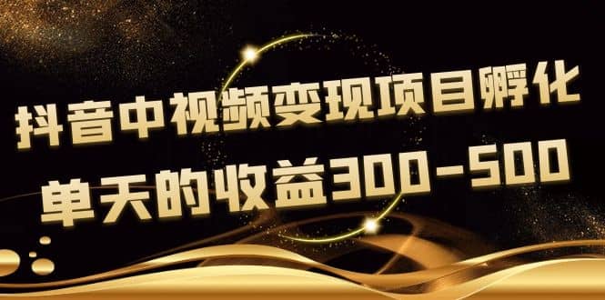 黄岛主《抖音中视频变现项目孵化》单天的收益300-500 操作简单粗暴-云阁资源网
