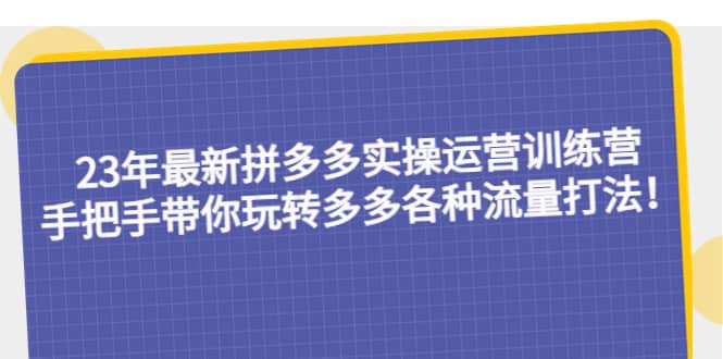 23年最新拼多多实操运营训练营：手把手带你玩转多多各种流量打法！-云阁资源网