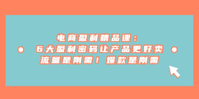 电商 盈利精品课：6大盈利 密码让产品更好卖，流量是刚需！爆款是刚需-云阁资源网