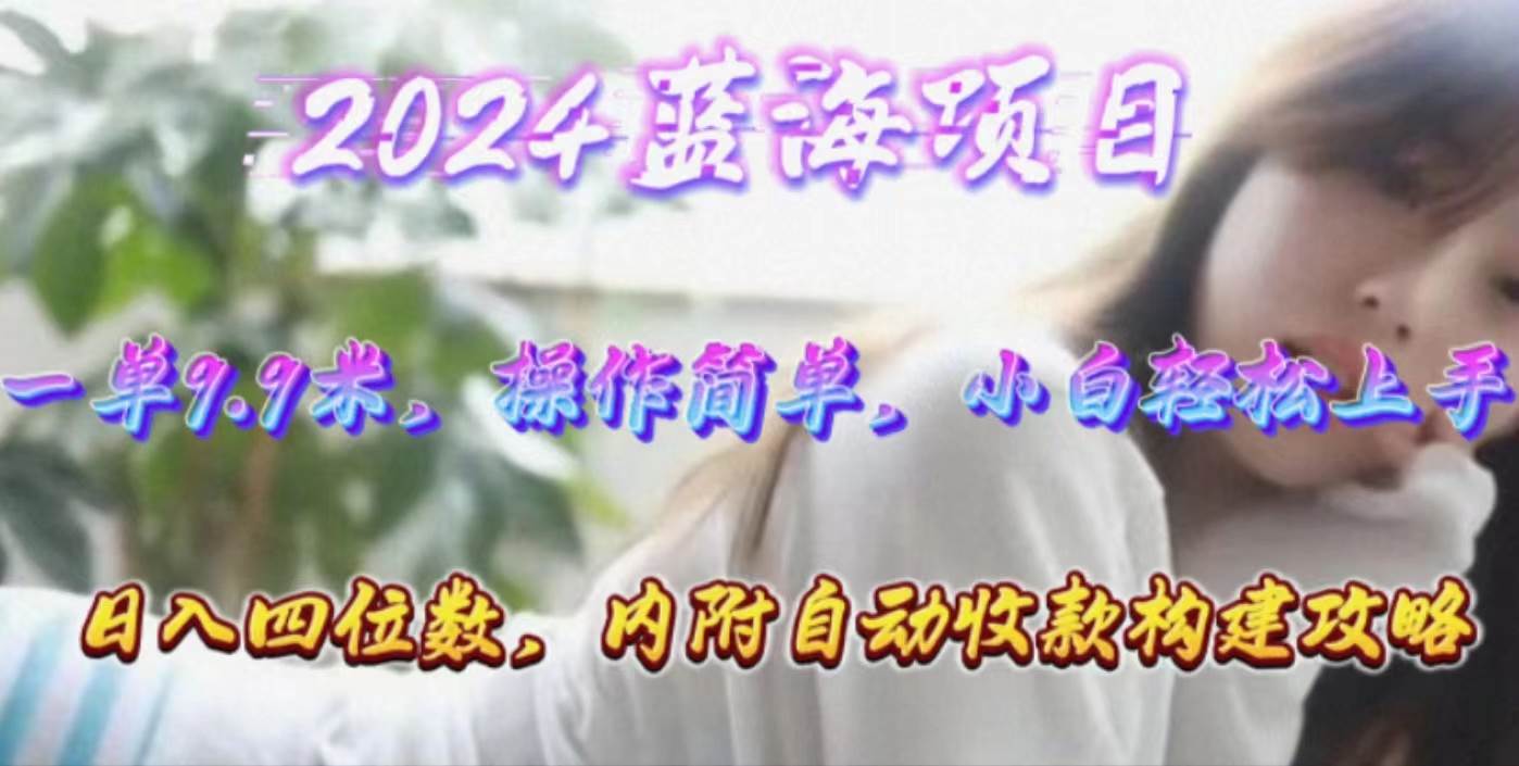 年轻群体的蓝海市场，1单9.9元，操作简单，小白轻松上手，日入四位数-云阁资源网