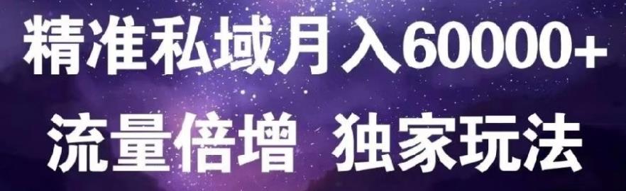 原力网赚精准私域月入60000+,流量倍增独家玩法-云阁资源网