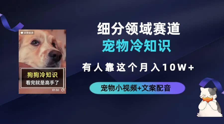 不起眼的抖音细分赛道-宠物冷知识，一段宠物视频配文案，有人靠这个月入10w-云阁资源网