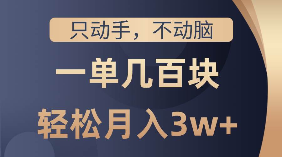 只动手不动脑，一单几百块，轻松月入3w+，看完就能直接操作，详细教程-云阁资源网