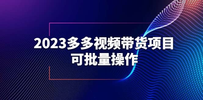 2023多多视频带货项目，可批量操作【保姆级教学】-云阁资源网
