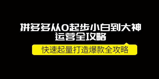 拼多多从0起步小白到大神运营全攻略-云阁资源网