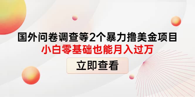 国外问卷调查等2个暴力撸美元项目，小白零基础也能月入过万-云阁资源网