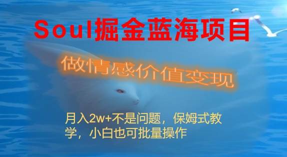 Soul掘金蓝海项目细分赛道，做情感价值变现，月入2w+不是问题-云阁资源网
