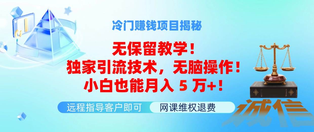 冷门赚钱项目无保留教学！独家引流技术，无脑操作！小白也能月入5万+！-云阁资源网