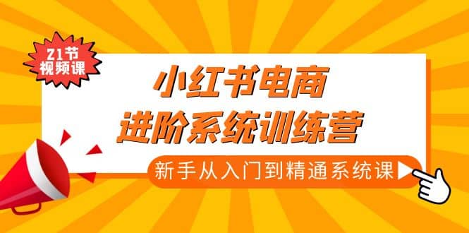 小红书电商进阶系统训练营：新手从入门到精通系统课（21节视频课）-云阁资源网