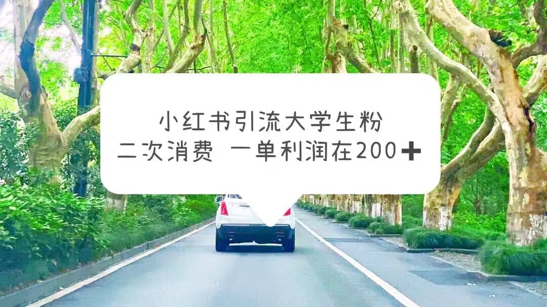 小红书引流大学生粉，变现项目，一单利润在200+（教程+资源）-云阁资源网