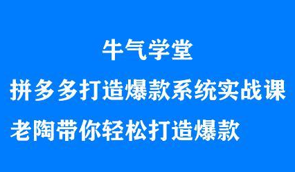 牛气学堂拼多多打造爆款系统实战课，老陶带你轻松打造爆款-云阁资源网