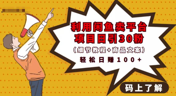 利用闲鱼卖平台项目课程资源日引流30+精准粉丝，轻松日赚100+，积累人脉可实现二次变现（细节教程+商品文案）-云阁资源网