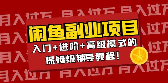 月入过万闲鱼副业项目：入门+进阶+高级模式的保姆级辅导教程-云阁资源网