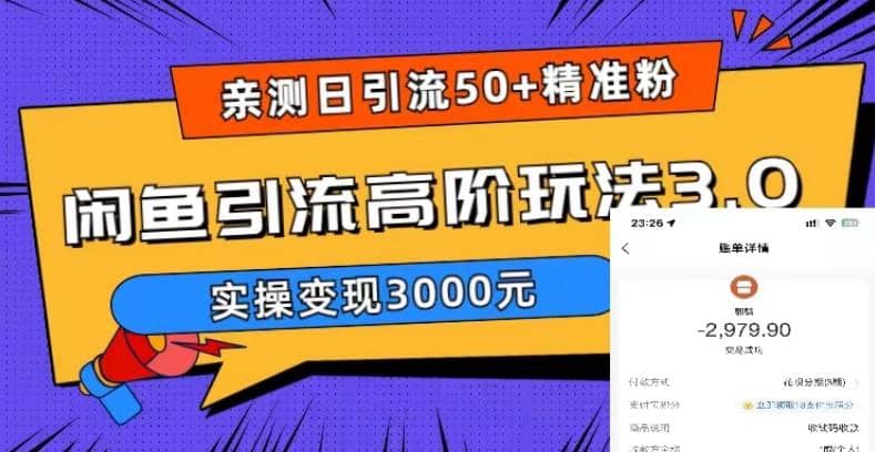 实测日引50+精准粉，闲鱼引流高阶玩法3.0，实操变现3000元-云阁资源网