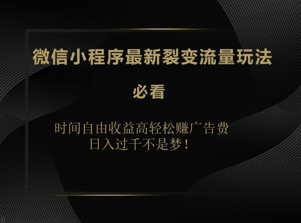 微信小程序最新裂变流量玩法，时间自由收益高轻松赚广告费，日入200-500+-云阁资源网
