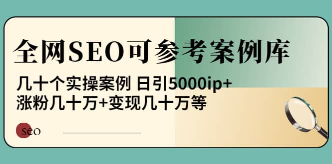 《全网SEO可参考案例库》几十个实操案例-云阁资源网