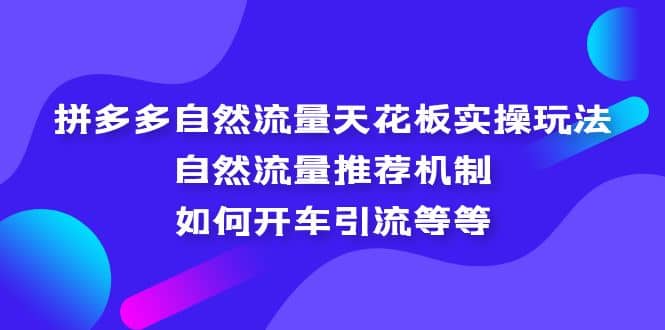 拼多多自然流量天花板实操玩法：自然流量推荐机制，如何开车引流等等-云阁资源网