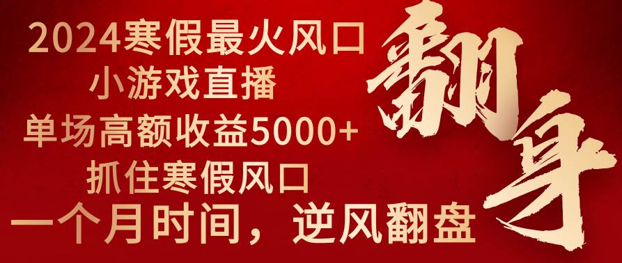 2024年最火寒假风口项目 小游戏直播 单场收益5000+抓住风口 一个月直接提车-云阁资源网
