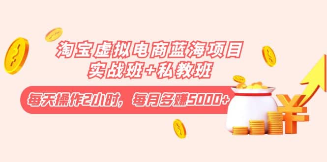 淘宝虚拟电商蓝海项目实战班+私教班-云阁资源网