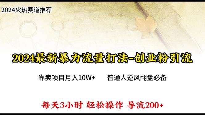 2024年最新暴力流量打法，每日导入300+，靠卖项目月入10W+-云阁资源网