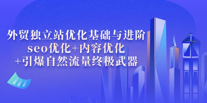 外贸独立站优化基础与进阶，seo优化+内容优化+引爆自然流量终极武器-云阁资源网