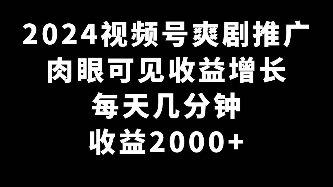 2024视频号爽剧推广，肉眼可见的收益增长，每天几分钟收益2000+-云阁资源网