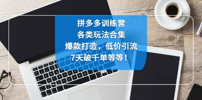 拼多多训练营：各玩法合集，爆款打造，低价引流，7天破千单等等-云阁资源网