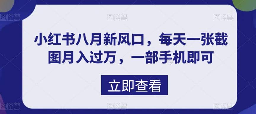 八月新风口，小红书虚拟项目一天收入1000+，实战揭秘-云阁资源网