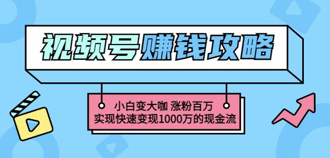 玩转微信视频号赚钱：小白变大咖涨粉百万实现快速变现1000万的现金流-云阁资源网