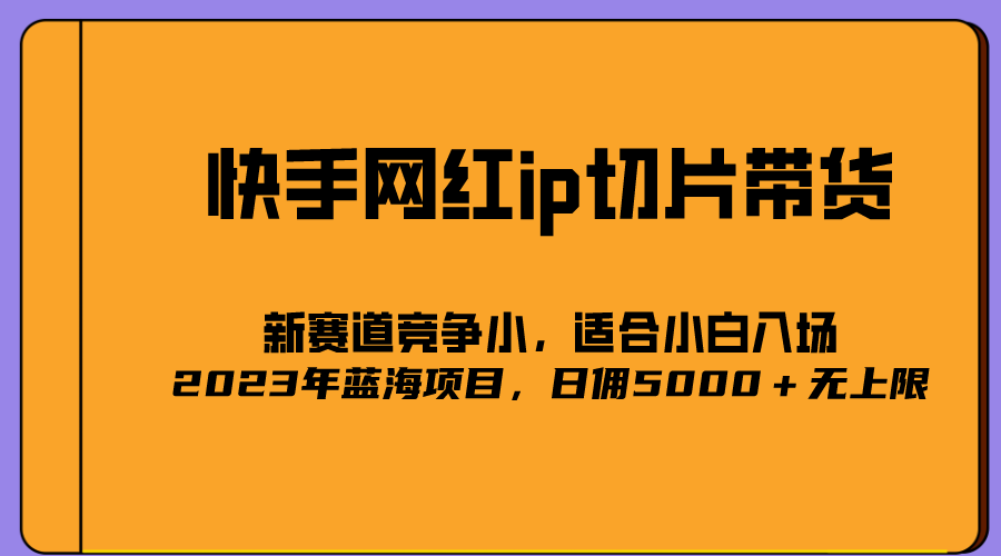 2023爆火的快手网红IP切片，号称日佣5000＋的蓝海项目，二驴的独家授权-云阁资源网