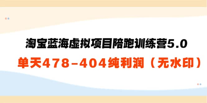 淘宝蓝海虚拟项目陪跑训练营5.0：单天478纯利润（无水印）-云阁资源网