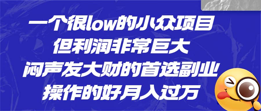一个很low的小众项目，但利润非常巨大，闷声发大财的首选副业，月入过万-云阁资源网