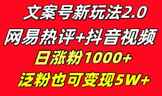 文案号新玩法 网易热评+抖音文案 一天涨粉1000+ 多种变现模式 泛粉也可变现-云阁资源网