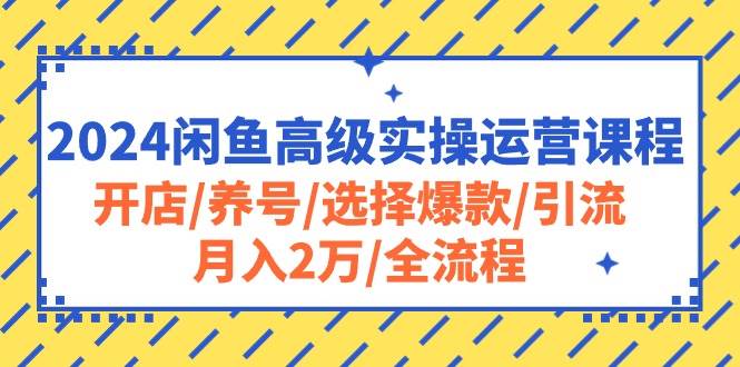 2024闲鱼高级实操运营课程：开店/养号/选择爆款/引流/月入2万/全流程-云阁资源网