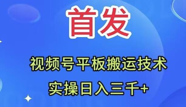 全网首发：视频号平板搬运技术，实操日入三千＋-云阁资源网