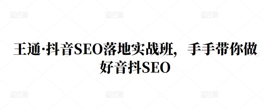 王通·抖音SEO落地实战班，手‬手带你做好音抖‬‬SEO-云阁资源网