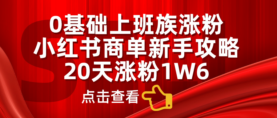 0基础上班族涨粉，小红书商单新手攻略，20天涨粉1.6w-云阁资源网