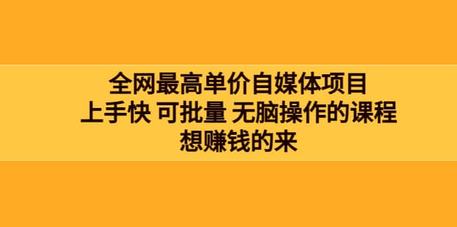 全网最单高价自媒体项目：上手快 可批量 无脑操作的课程，想赚钱的来-云阁资源网