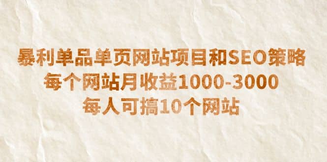 暴利单品单页网站项目和SEO策略 每个网站月收益1000-3000 每人可搞10个-云阁资源网