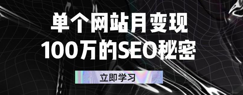 单个网站月变现100万的SEO秘密，百分百做出赚钱站点-云阁资源网