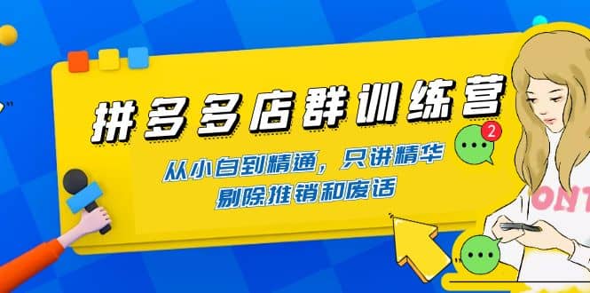 拼多多店群训练营：从小白到精通，只讲精华，剔除推销和废话-云阁资源网