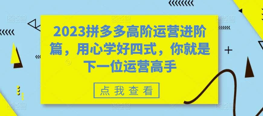 2023拼多多高阶运营进阶篇，用心学好四式，你就是下一位运营高手-云阁资源网