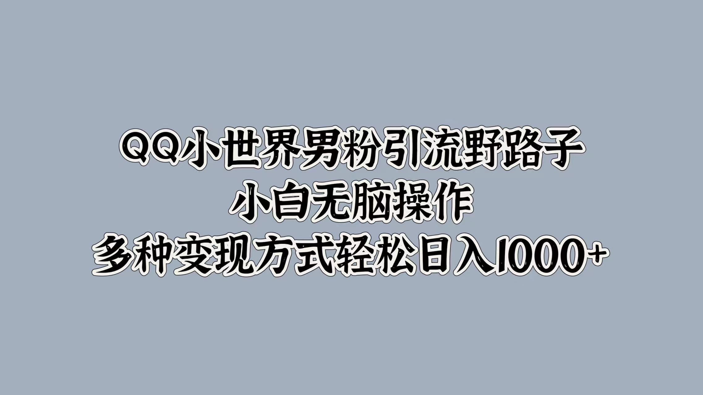QQ小世界男粉引流野路子，小白无脑操作，多种变现方式轻松日入1000+-云阁资源网