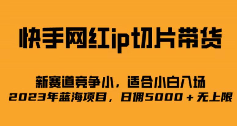 快手网红ip切片新赛道，竞争小事，适合小白 2023蓝海项目-云阁资源网