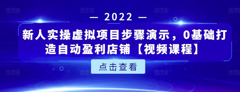 新人实操虚拟项目步骤演示，0基础打造自动盈利店铺【视频课程】-云阁资源网